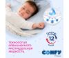  Confy   NewBorn .1 (2-5 ) 44 . - ребенок_сухость_подгузник-1661167561