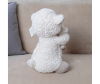   KiDWoW    351748630 - JX503516505W__3_.JPG-1698782448