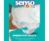  Senso Baby    Junior 5/XL (11-25 ) 32 . - Frame 32-1643192463