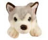   Keel Toys  Signature  29  - Keel Toys   29  Signature