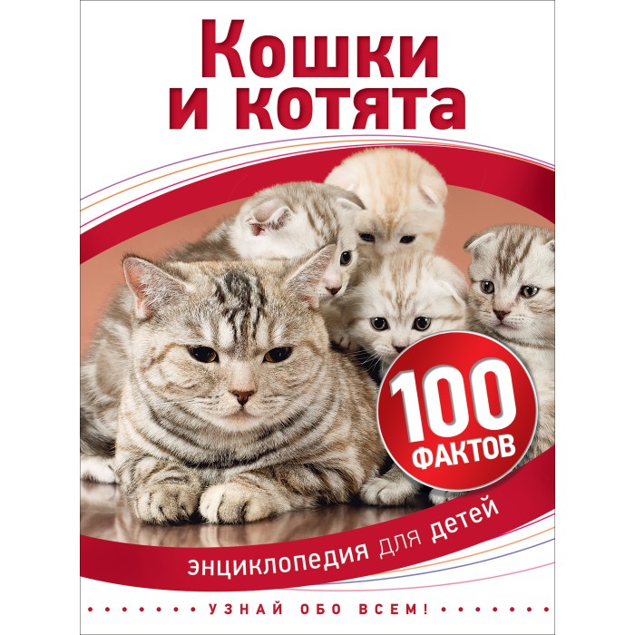       (100 )