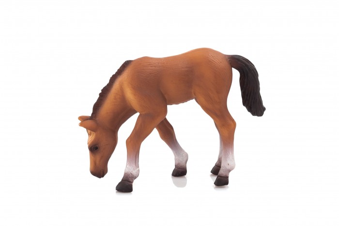  Mojo Animal Planet   M