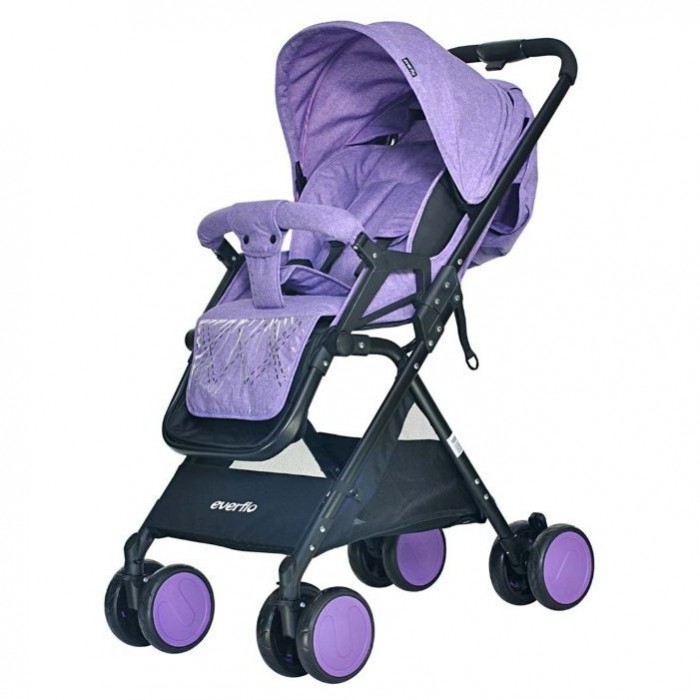  Everflo ruise E-550