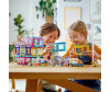  Lego Friends 41704         - Lego Friends 41704       