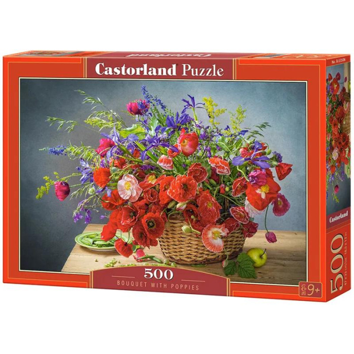  Castorland     (500 )