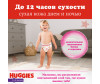  Huggies -   12-17  5  96 . - Huggies -   5 (12-17 ) 96 .