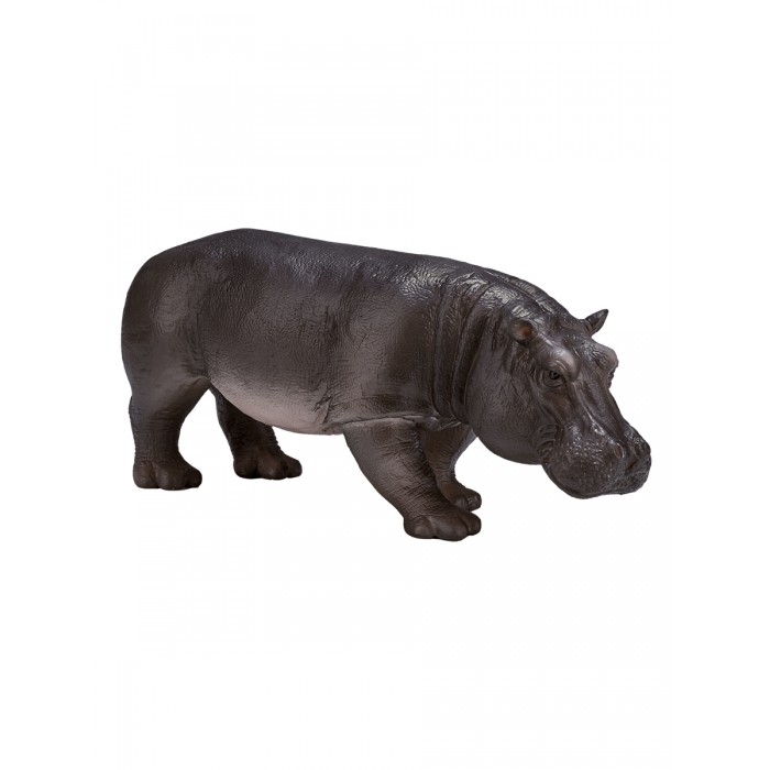  Mojo  Animal Planet  XL