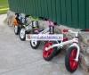  Joovy Bicycoo BMX - Joovy  Bicycoo BMX