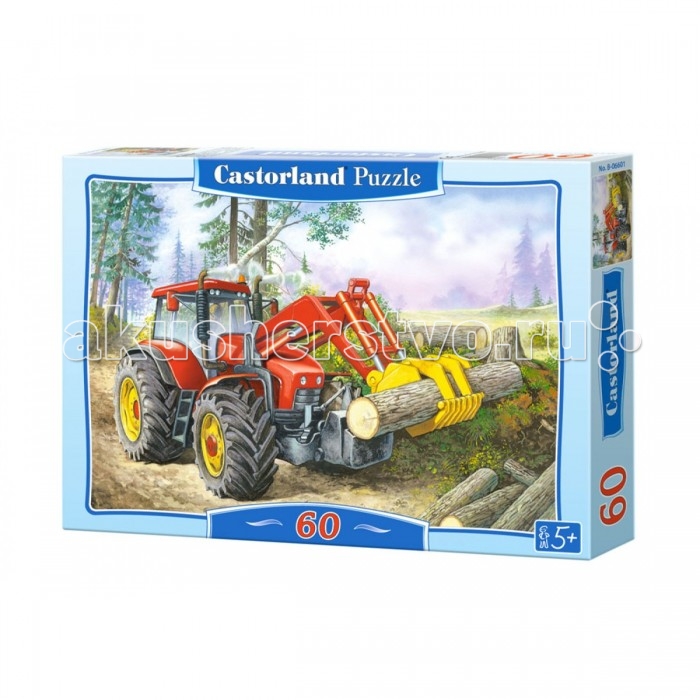  Castorland   60 