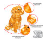  Bondibon  3D     41  - Bondibon  3D     41 