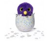  Hatchimals     19100-2 - Hatchimals     19100-2