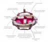  Pink Lining    Twins Bag - Pink Lining    Twins Bag