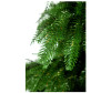  Crystal Trees      250  - Crystal Trees      250 