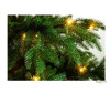  Crystal Trees      250  - Crystal Trees      250 