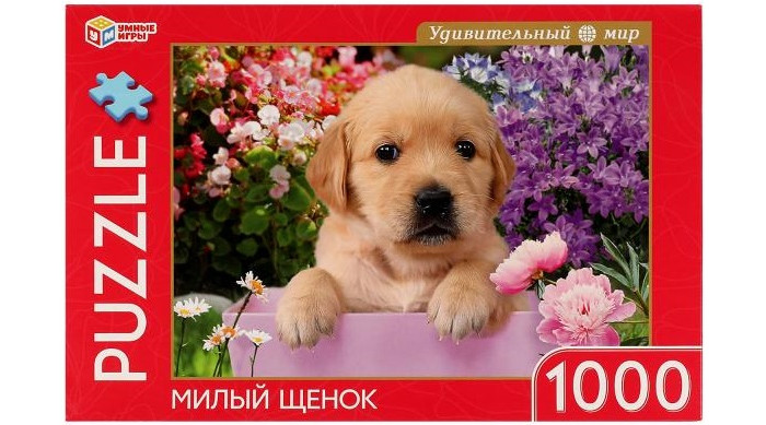      (1000 )