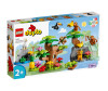  Lego Duplo     - Lego Duplo    