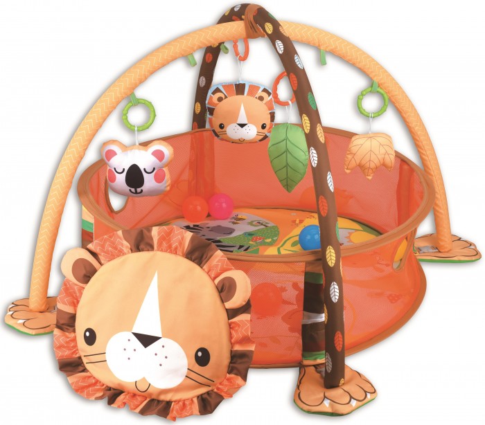   FunKids Lion Gym CC9611