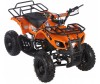  Motax    ATV Mini Grizlik -16      - Motax    ATV Mini Grizlik -16