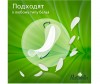  Naturella       Camomile Light Trio 52 . - Naturella       Camomile Light Trio 52 .