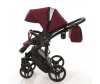  Junama Diamond 2  1 - Junama Diamond 2  1