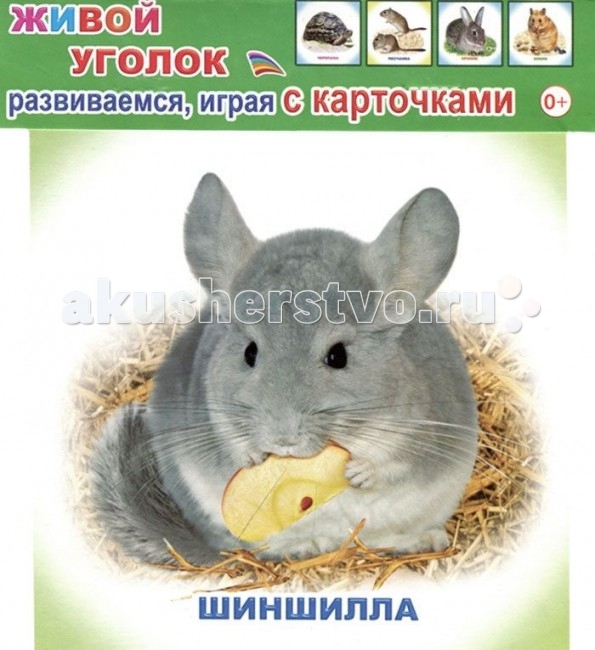 Алфея Карточки Живой уголок