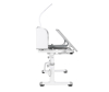  Anatomica   Legare  : + - Anatomica-Legare-White-Grey-with-lamp-2022-15-1708938803