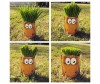  Happy Plant     - Happy Plant    