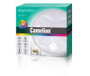  Camelion - LBS-7731 80  - Camelion - LBS-7731 80 