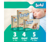  Lody Baby   5  (11-25 ) 46 . - Lodge Baby   5  (11-25 ) 46 .