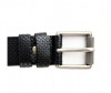  Wild Bear  RM-009m/RM-010m - Wild Bear  RM-009m/RM-010m