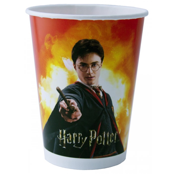  ND Play Harry Potter    6 . 250 