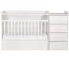 - Polini    Simple 1902 - Polini    Simple 1902