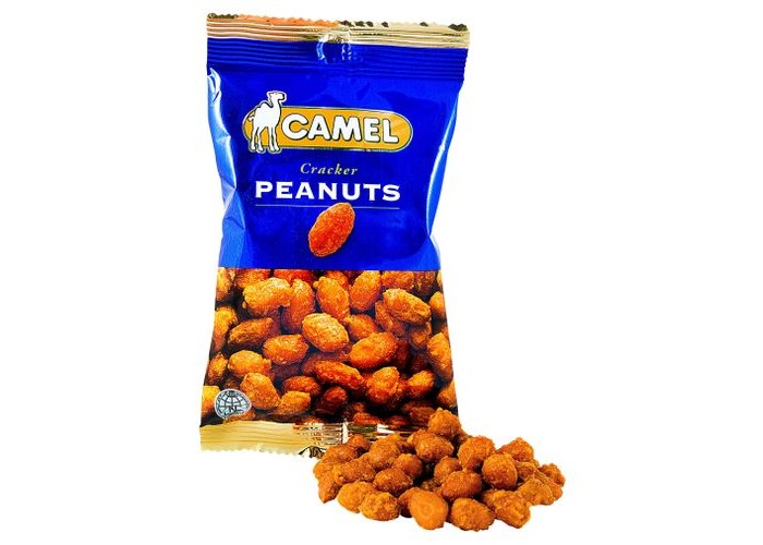  Camel     40 