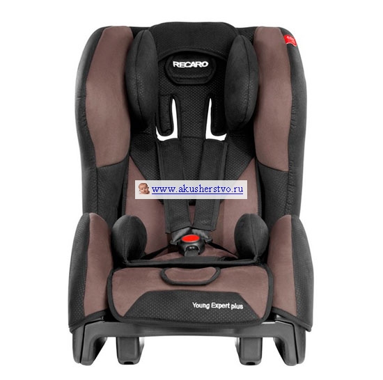 RECARO  Young Expert Plus
