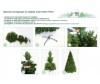  Green Trees    120  - Green Trees    120 