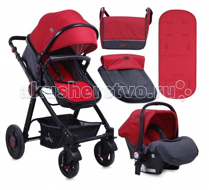 - Bertoni (Lorelli) Alexa