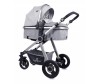 - Bertoni (Lorelli) Alexa - Bertoni (Lorelli) Alexa