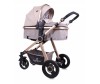- Bertoni (Lorelli) Alexa - Bertoni (Lorelli) Alexa