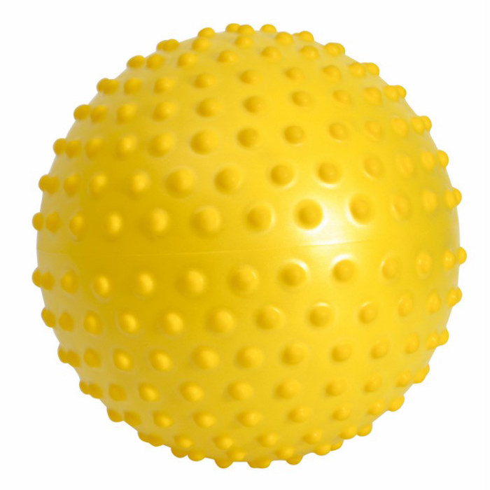  Gymnic   28 