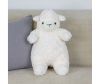   KiDWoW   388880512 - JX604519328W__1__1_.JPG-1698779354