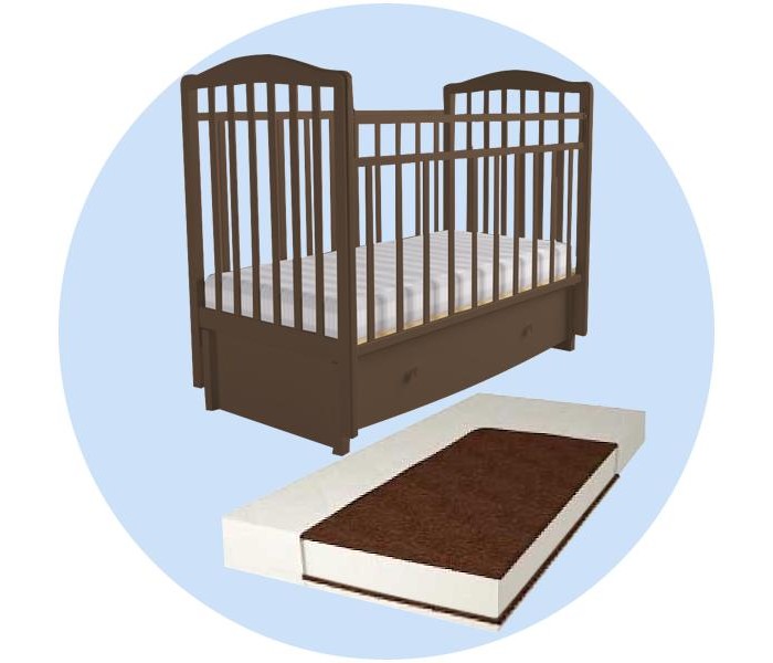   Forest kids Malva   ( )  