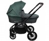  Farfello  Baby shell BBS 2  1 - Farfello   Baby shell BBS 2  1