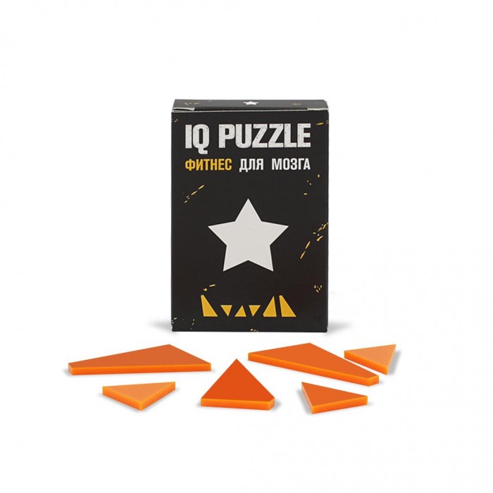  IQ Puzzle  