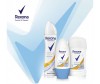  Rexona -  40  - Rexona -  40 