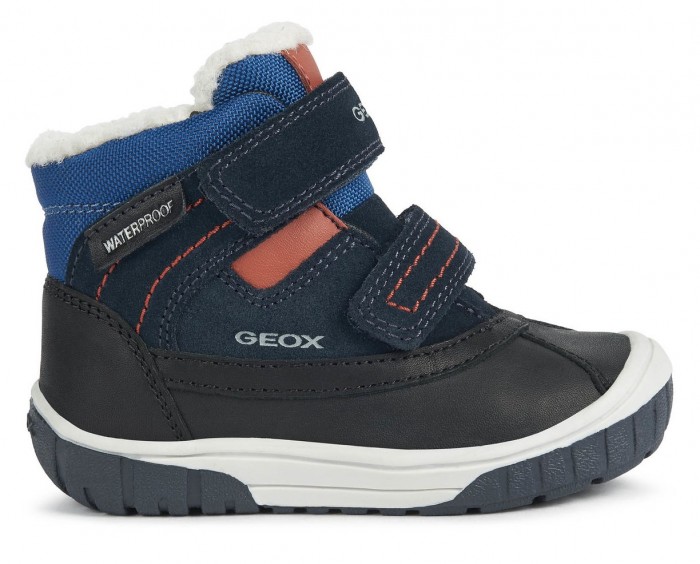  Geox  Omar WPF B162DB