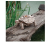  Eco Wood Art 3D Ewa   269  - Eco Wood Art 3D Ewa   (269 )