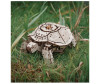  Eco Wood Art 3D Ewa   269  - Eco Wood Art 3D Ewa   (269 )