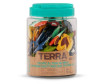  Terra       - Terra      