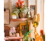  Diy House    Millers Garden - Diy House    Millers Garden