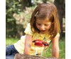  Learning Resources       12 . - Learning Resources     12 .